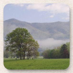 Posavasos Prado brumoso y Rich Mountain, Cades Cove,