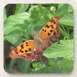 Posavasos Pregunta Mark Butterfly sobre Lantana