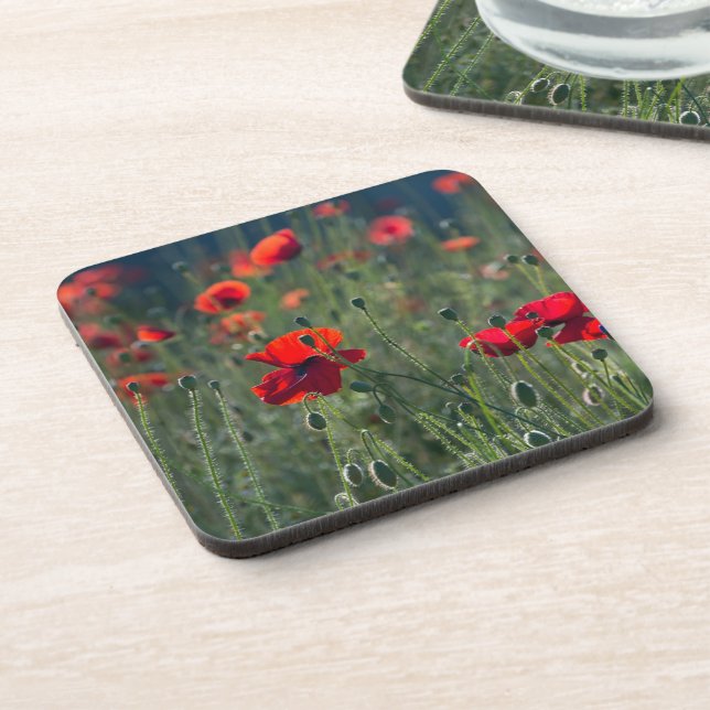 Posavasos Pretty Poppies in Wild Meadow Photo (Lado Izquierdo)