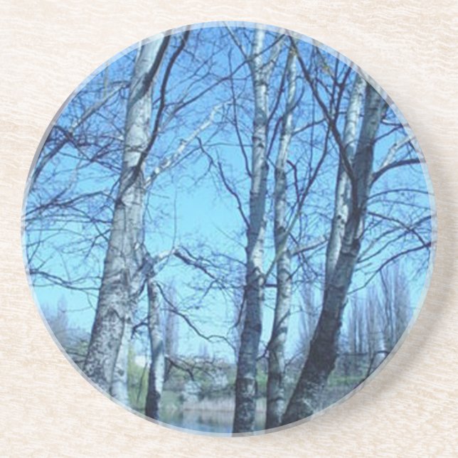 Posavasos primavera inicial (Frente)