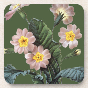 Posavasos Primavera (Primula Aucalis)