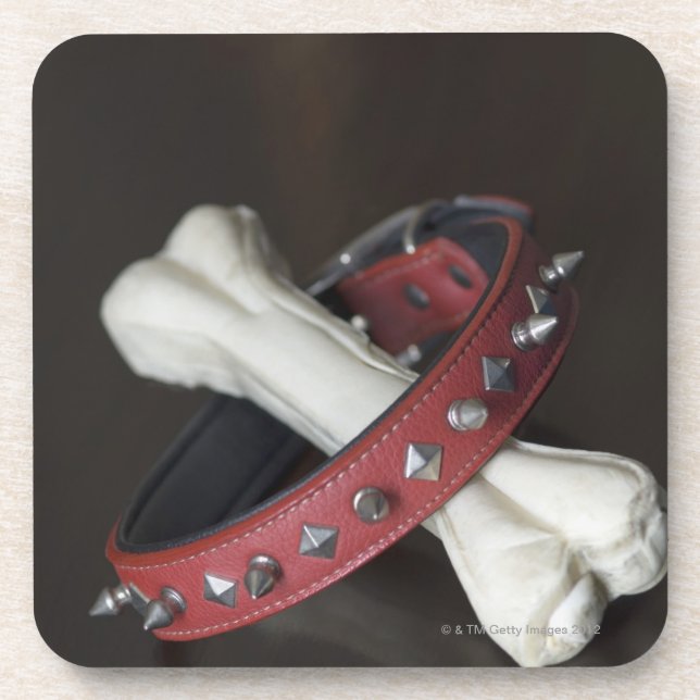 Posavasos Primer de un cuello del mascota y de un hueso de (Frente)