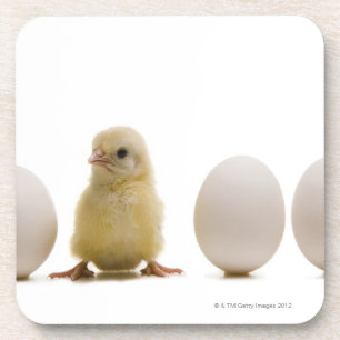 Posavasos Primer de un polluelo del bebé con tres huevos