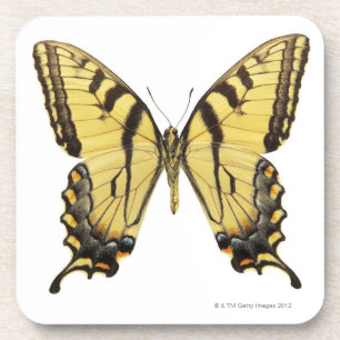 Posavasos Primer de una mariposa 2