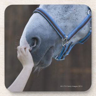 Posavasos primer del caballo blanco conmovedor de la chica