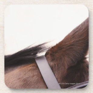 Posavasos primer del oído de los caballos con nupcial