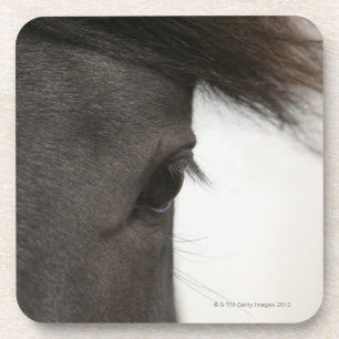 Posavasos Primer del ojo y del pelo del caballo