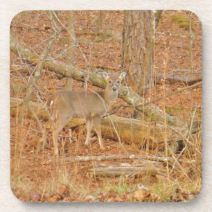 Posavasos Primer invierno de Baby Deer