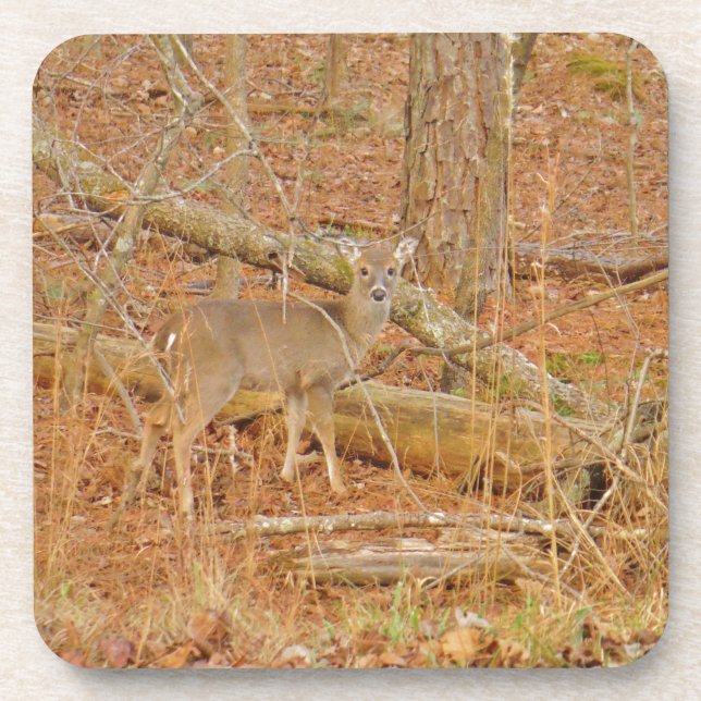 Posavasos Primer invierno de Baby Deer (Frente)