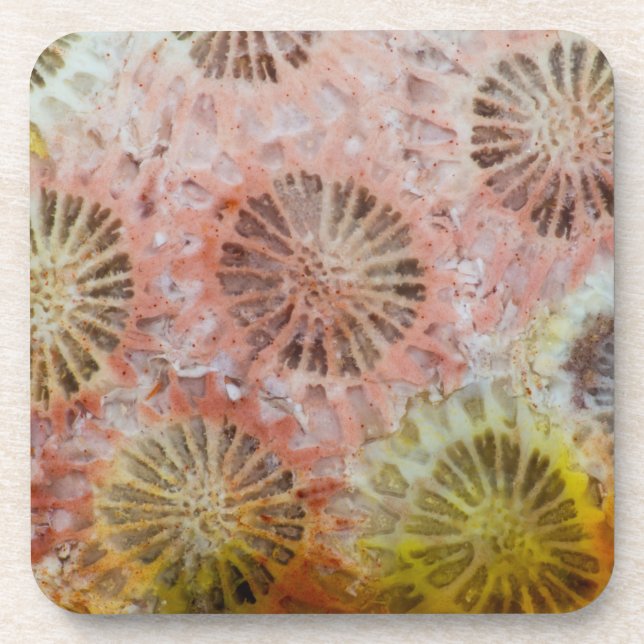 Posavasos Primer plano de coral rosa (Frente)