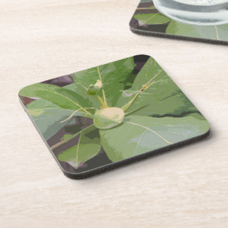 Posavasos Primer plano del almendro