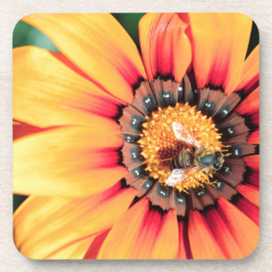 Posavasos Primer plano extremo de una abeja recogiendo polen