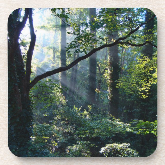 Posavasos Primera escayola de corcho ligero (Frente)