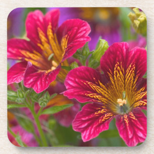 Posavasos Primeros planos de lengua pintada de sus flores -