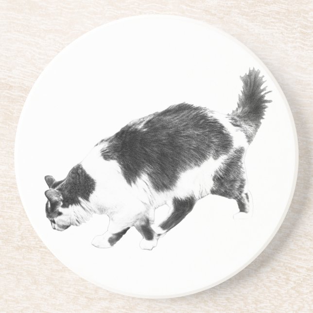 Posavasos Prowl de gato en las sombras de otoño (Frente)