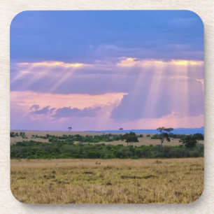 Posavasos Puesta de sol en el Masai Mara.