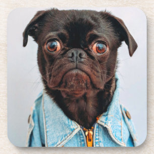 Posavasos Pug en Denim Jackey lindo cachorro de perro adorab