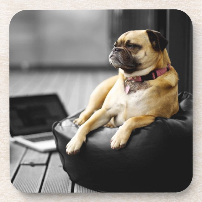 Posavasos Pug en reposo (Frente)