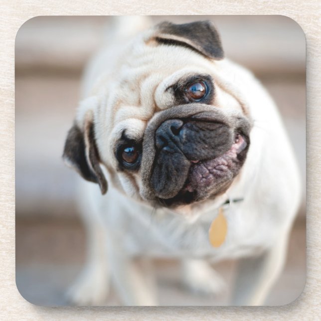 Posavasos Pug Head Tilt (Frente)