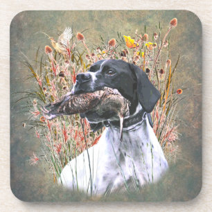 Posavasos Puntero, cazando Woodcock