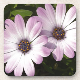 Posavasos Purple Daisies