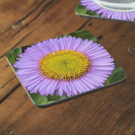 Posavasos Purple Fleabane Daisy Floral