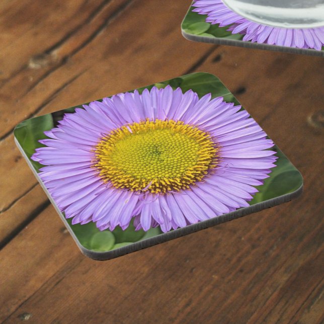 Posavasos Purple Fleabane Daisy Floral (In Situ)