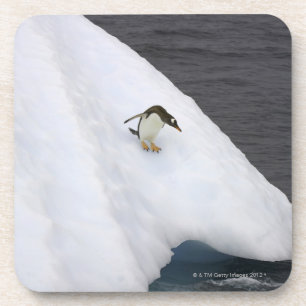 Posavasos Pygoscelis Papua del pingüino de Gentoo) que se