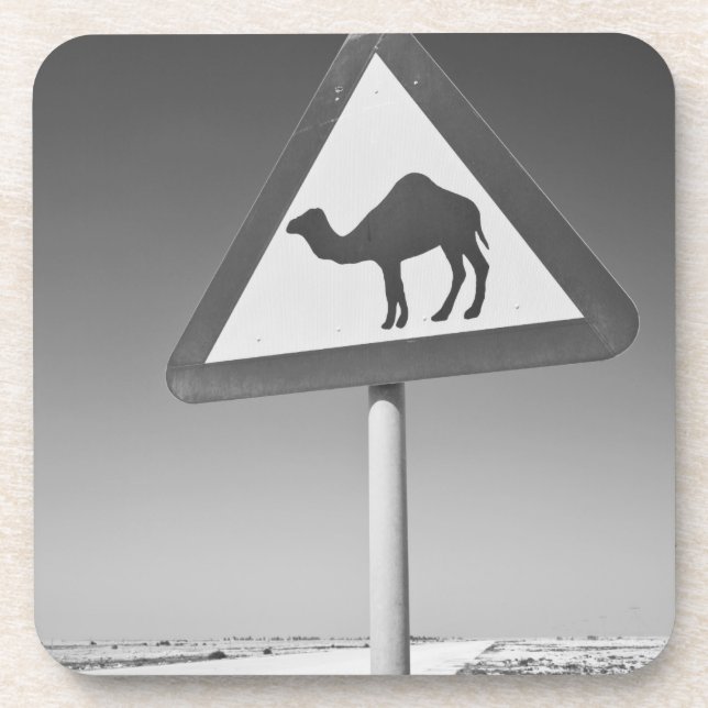 Posavasos Qatar, Al Zubarah. Señal de cruce de camellos - Ca (Frente)