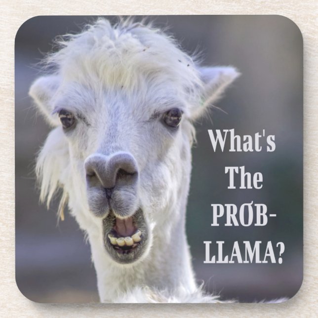 Posavasos ¿Qué es el Prob- Llama? Cute Funny LLAMA (Frente)