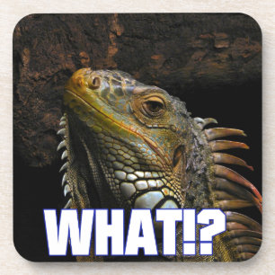 Posavasos ¿¡Qué!? Iguana
