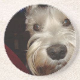 Posavasos ¿Qué USTED está mirando?