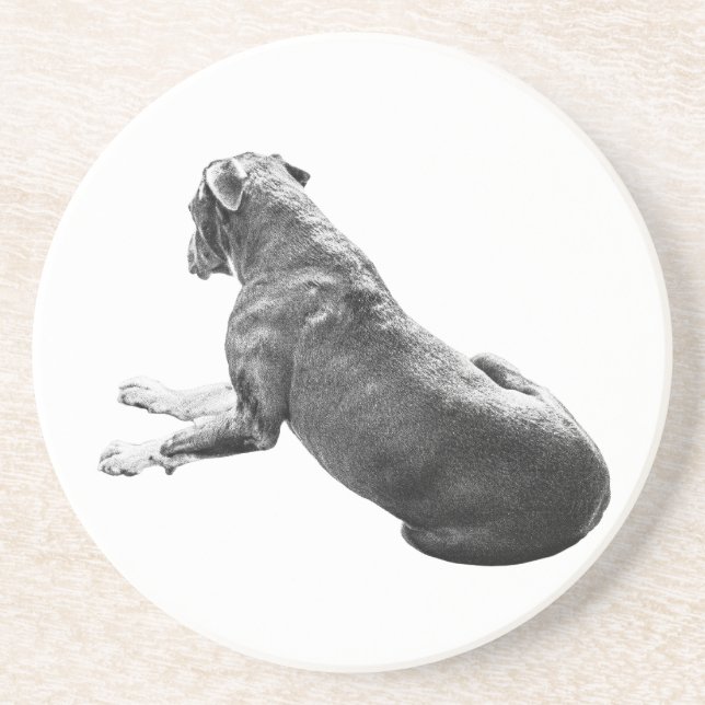 Posavasos Quieto compañero de tabla (Frente)