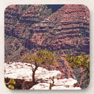 Posavasos Rafinesque Watches