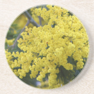 Posavasos Rama de mimosa