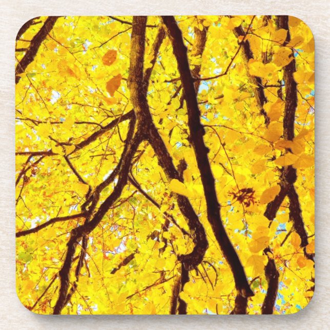 Posavasos Ramas de caída - amarillo dorado (Frente)