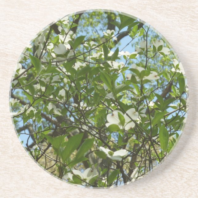 Posavasos Ramas de Dogwood florecen árboles de primavera (Frente)