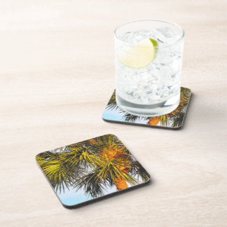 Posavasos Ramas de palmeras, Sol de la tarde