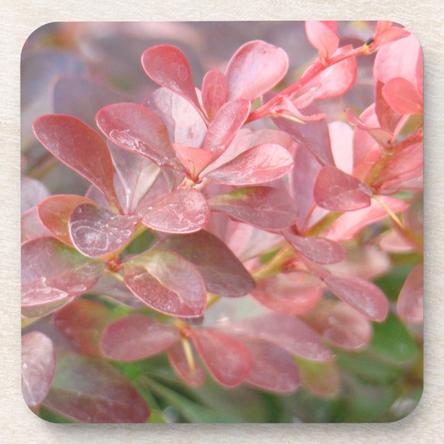 Posavasos Ramas rosadas de bonito (Frente)