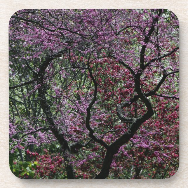 Posavasos Ramas y flores (Frente)
