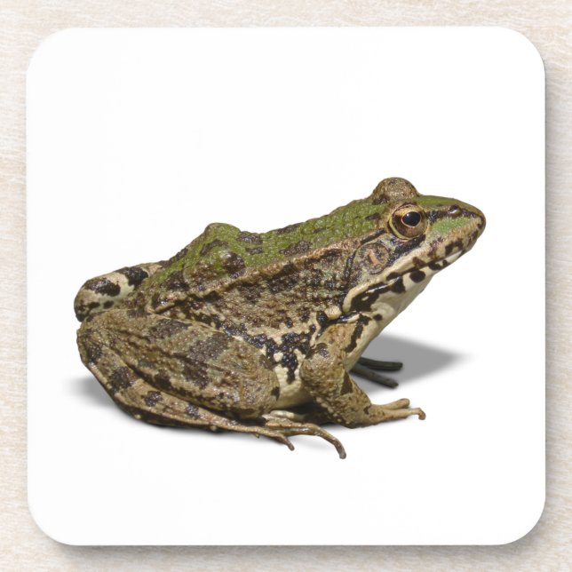 Posavasos Rana (Frente)