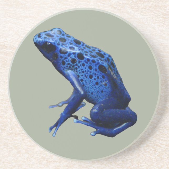 Posavasos Rana Dart de veneno azul (Frente)