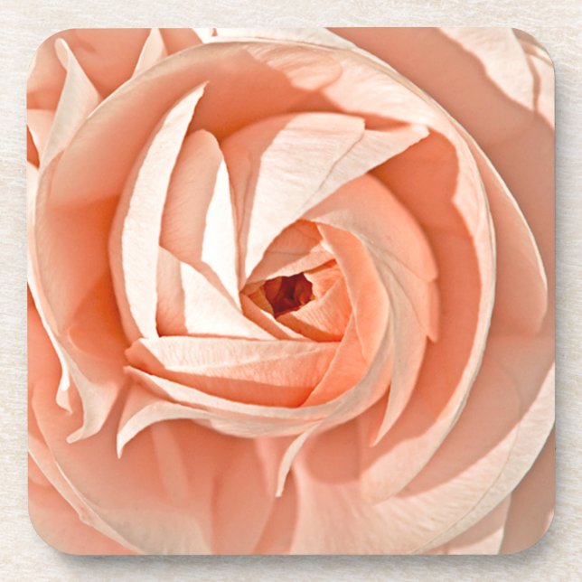 Posavasos Ranunculus Swirl (Frente)