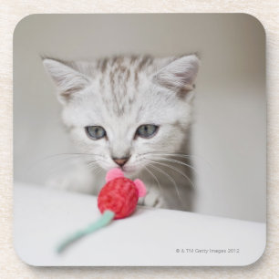 Posavasos Ratón del juguete del gatito británico del