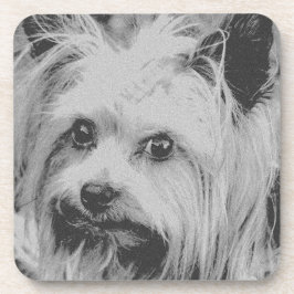 Posavasos Raza favorita de Yorkshire Terrier Yorkie