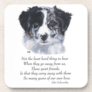 Posavasos Recuerdos de Border Collie