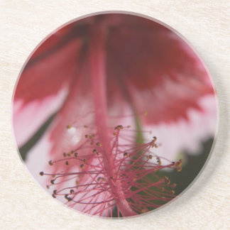 Posavasos Red and Pink Hawaiian Hibiscus