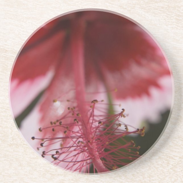 Posavasos Red and Pink Hawaiian Hibiscus (Frente)
