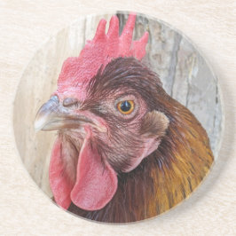 Posavasos Red Chicken Hen Photo