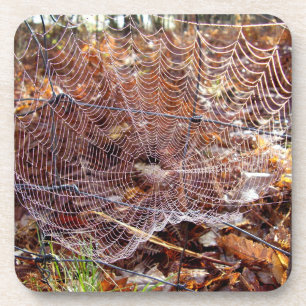 Posavasos Red de araña de jardín europea dura montaña de plá